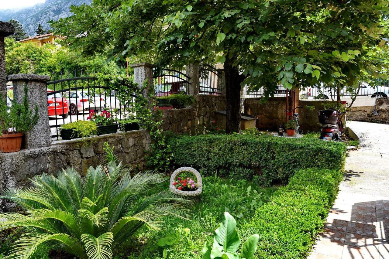 Apartments Martiva Котор Экстерьер фото